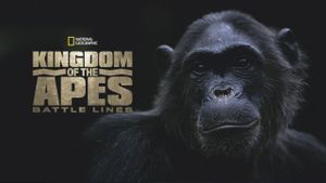 Kingdom of the Apes: Battle Lines's poster
