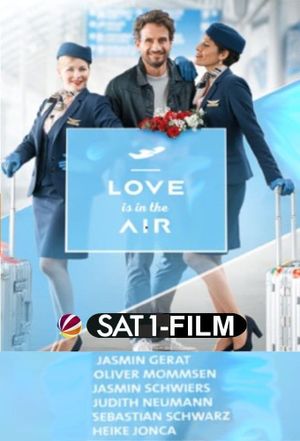 Love is in the air's poster