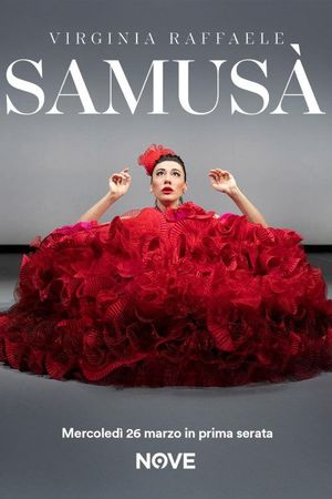 Virginia Raffaele - Samusà's poster