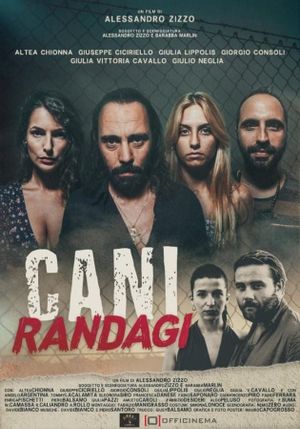 Cani randagi's poster