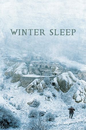 Winter Sleep's poster