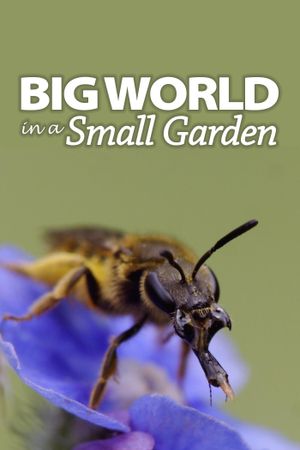 Big World In A Small Garden's poster