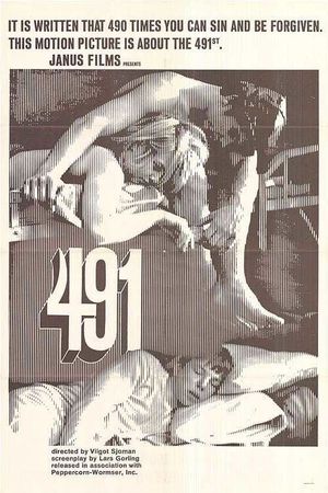 491's poster image