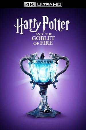 Harry Potter and the Goblet of Fire's poster