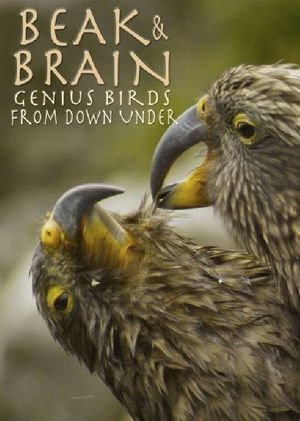 Beak & Brain - Genius Birds from Down Under's poster