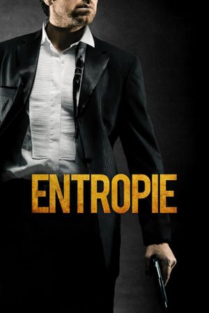 Entropie's poster