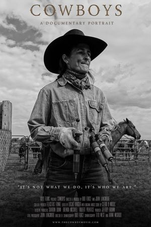 Cowboys's poster