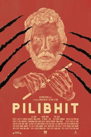 Pilibhit's poster