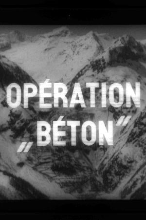 Operation Concrete's poster