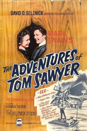 The Adventures of Tom Sawyer's poster image