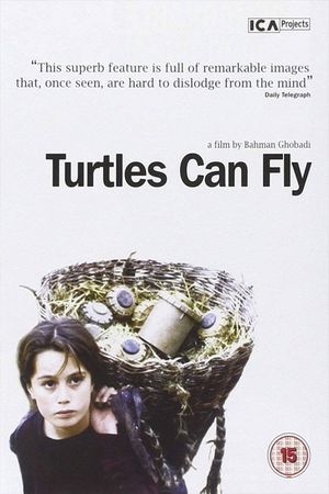 Turtles Can Fly's poster