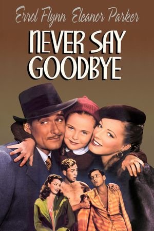 Never Say Goodbye's poster