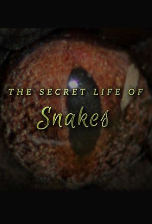 The Secret Life of Snakes's poster