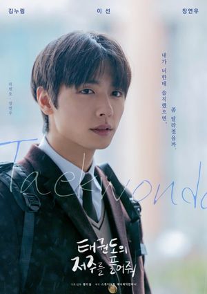 Let Free the Curse of Taekwondo's poster
