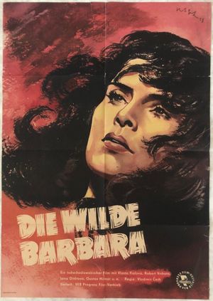 Divá Bára's poster