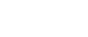 Venice's poster