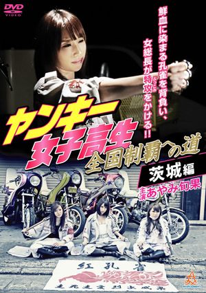 Yankee High School Girls' Road to National Domination 4 Ibaraki Edition's poster