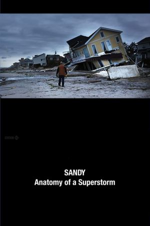 Sandy: Anatomy of a Superstorm's poster