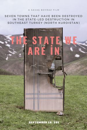 The State We Are İn's poster