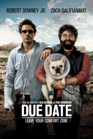 Due Date's poster