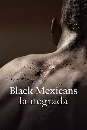 Black Mexicans's poster
