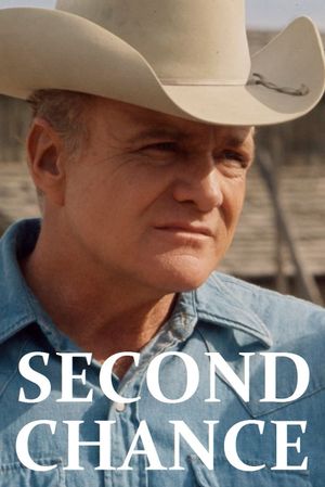 Second Chance's poster