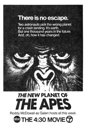 Back to the Planet of the Apes's poster