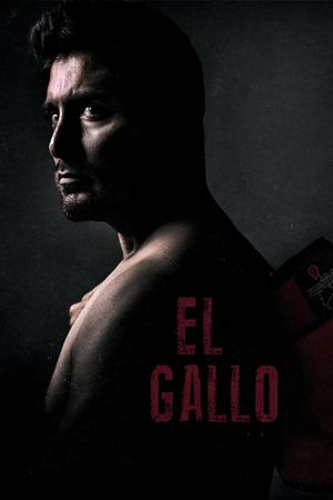 El Gallo's poster