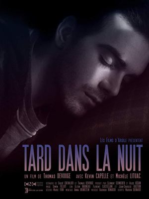 Late at Night's poster