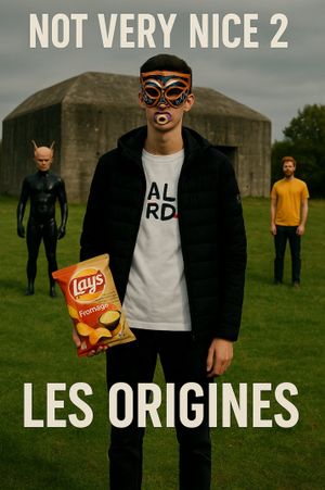 Not Very Nice 2: Les origines's poster