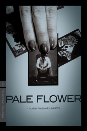Pale Flower's poster