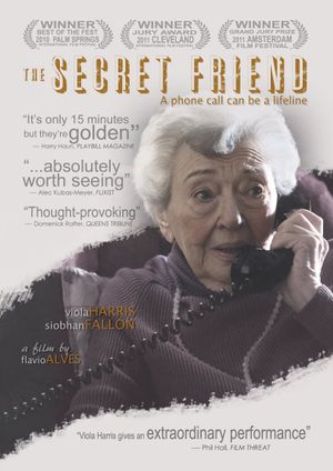 The Secret Friend's poster
