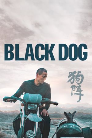 Black Dog's poster