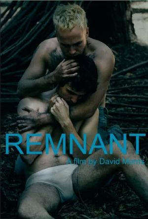 Remnant's poster