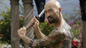 Falcon Rising's poster