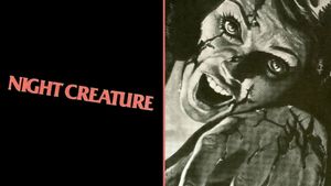 Night Creature's poster