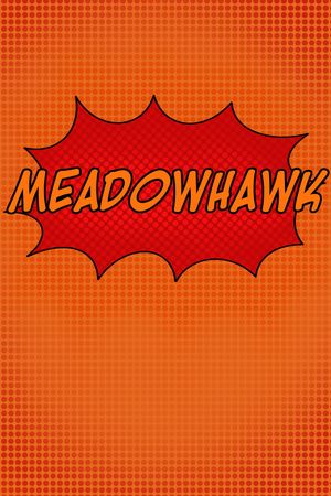 Meadowhawk's poster
