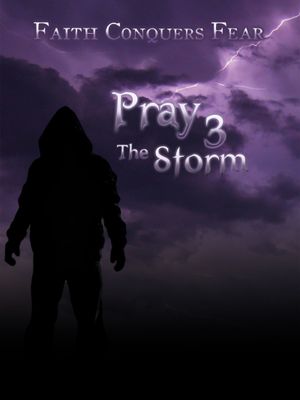 Pray 3D: The Storm's poster image