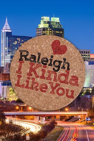 Raleigh, I Kinda Like You's poster image