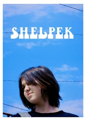 Shelpek's poster