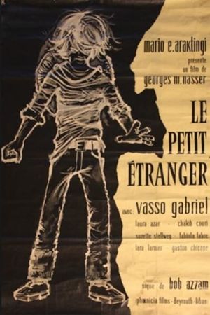 The Small Stranger's poster image