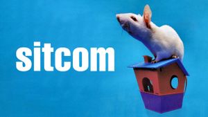 Sitcom's poster