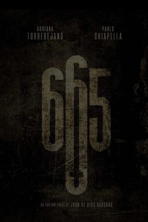 665's poster