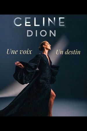 Céline Dion : une voix, un destin's poster