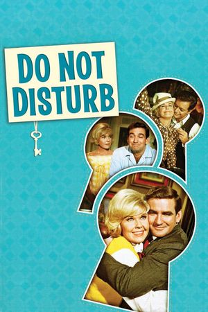 Do Not Disturb's poster