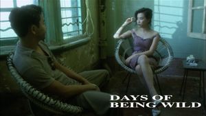 Days of Being Wild's poster