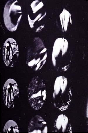 Experiment 002's poster