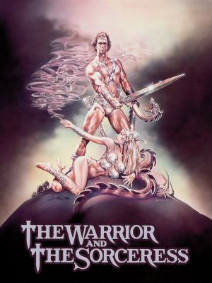 The Warrior and the Sorceress's poster