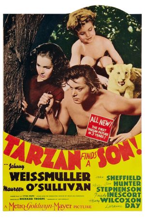 Tarzan Finds a Son!'s poster