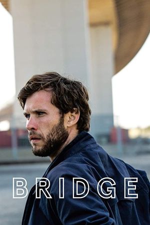 Bridge's poster